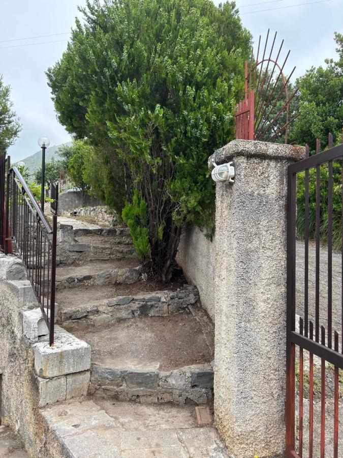 Villa Loren Praia a Mare Exteriér fotografie