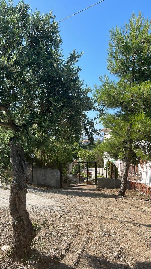 Villa Loren Praia a Mare Exteriér fotografie